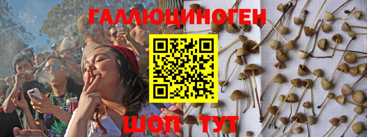 Ялуторовск  Галлюциногенные грибы мухоморы  Вход с VPN 